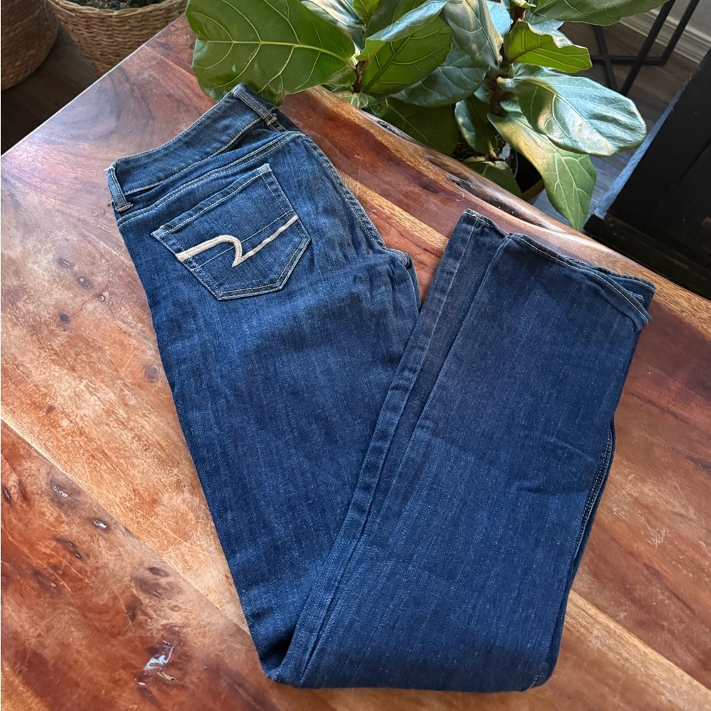 American Eagle Outfitters Dark Blue Women's Skinny Jeans